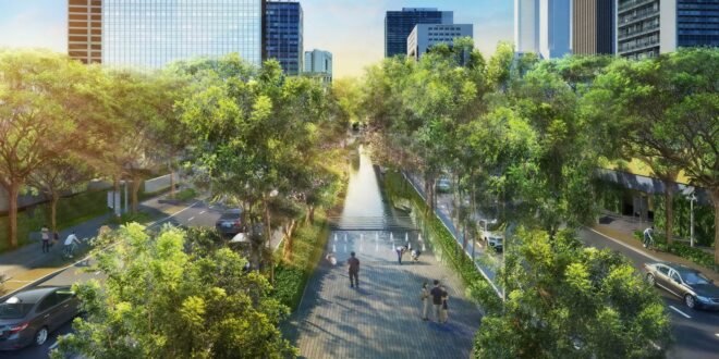 rendering of tree-filled walking space between two roads