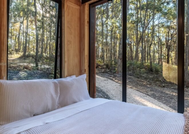 compact, wood-lined bedroom with ample windows