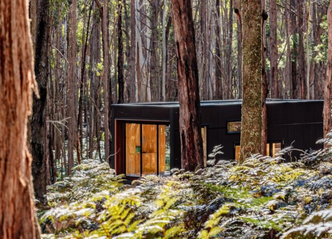 tiny cabin with large window in forest