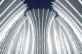 curved, white columns