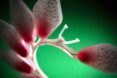 3D-printed stem with pink and white fruit pods