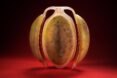 pod-like, 3D-printed fruit with layers
