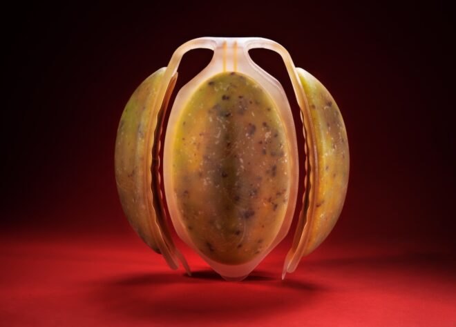pod-like, 3D-printed fruit with layers