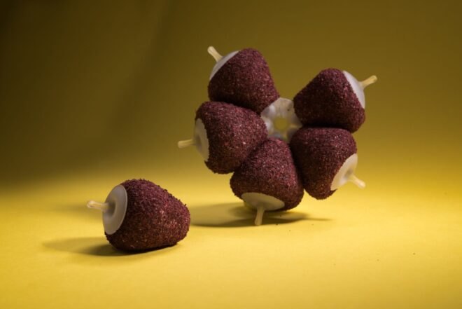 Brown, cone-shaped pods attached to each other with one detached
