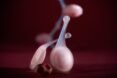 close-up of small, round 3D-printed pods attached to a stem