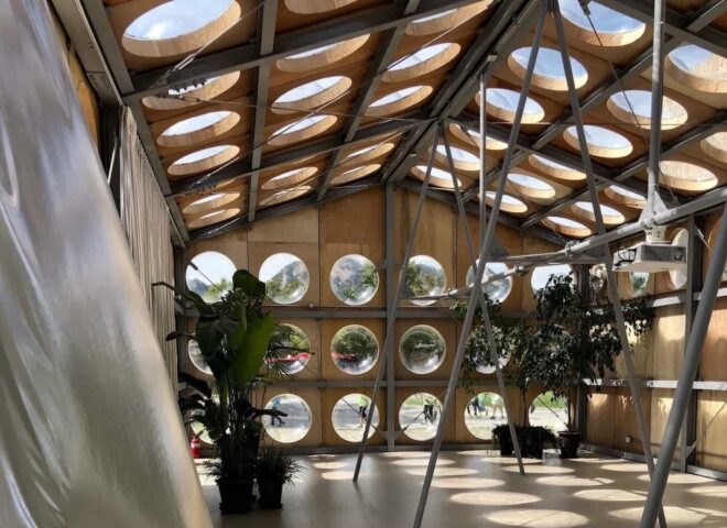 wood-lined interior room with plants and round windows