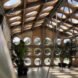 wood-lined interior room with plants and round windows
