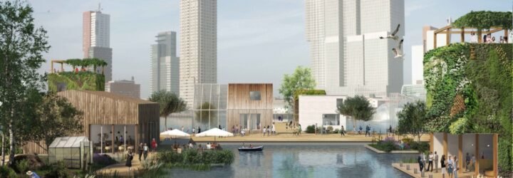 rendering of city buildings around water