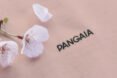 cherry blossom on a pink shirt that reads, 