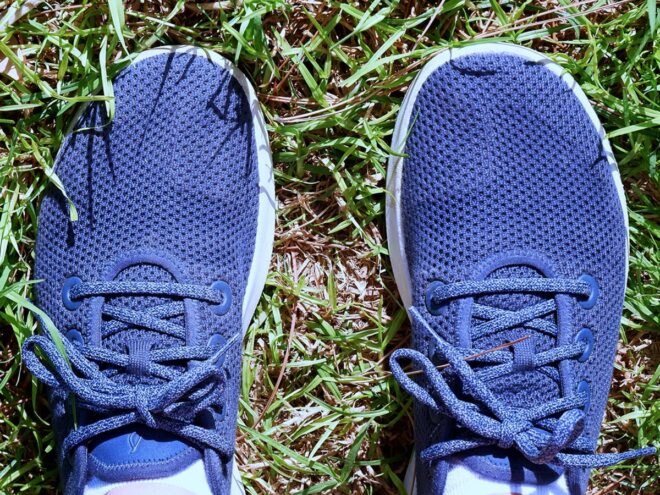 aerial view of blue sneakers
