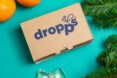 cardboard box near oranges and evergreen branches