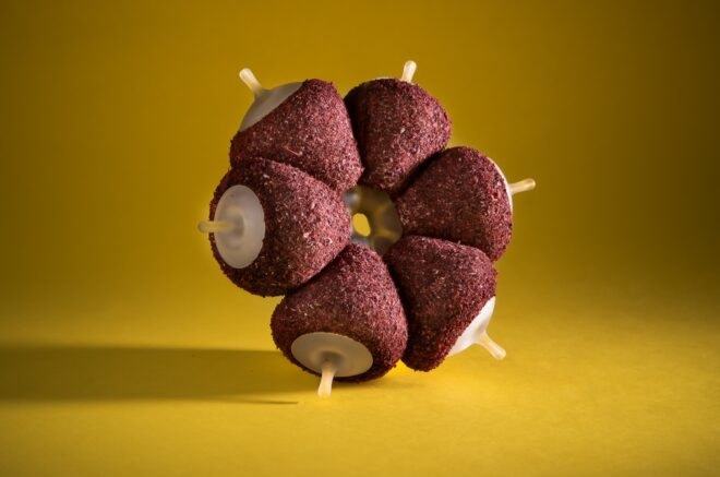 Brown, cone-shaped pods attached to each other