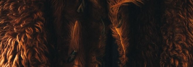 close-up of brown fur coat