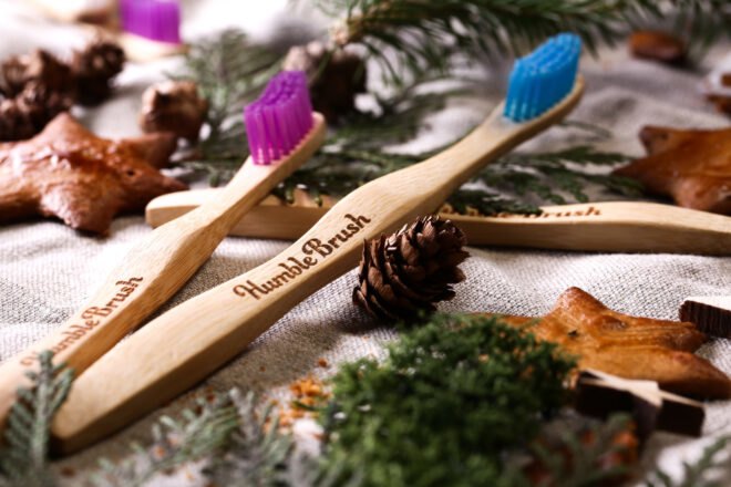 bamboo toothbrushes near pinecones