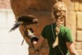 falconer holding a bird