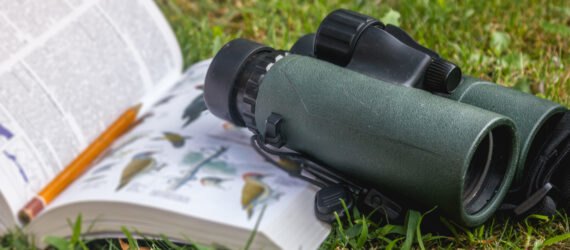 binoculars on bird guide book