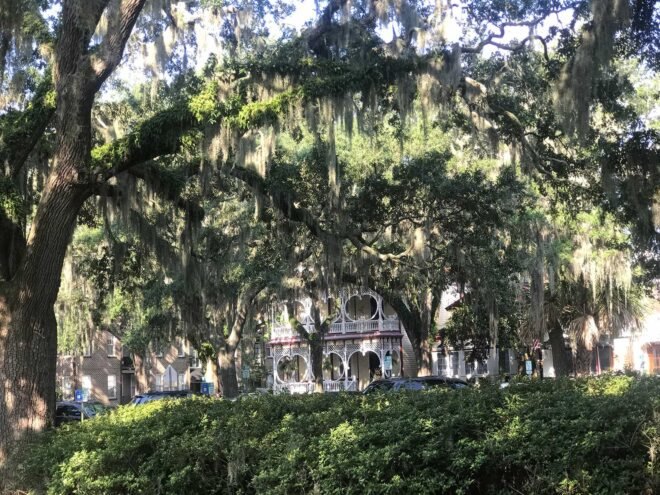 park with trees in Savannah, Georgia
