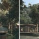 rendering of wood wildlife center with curving design