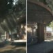 rendering of wood wildlife center with large openings