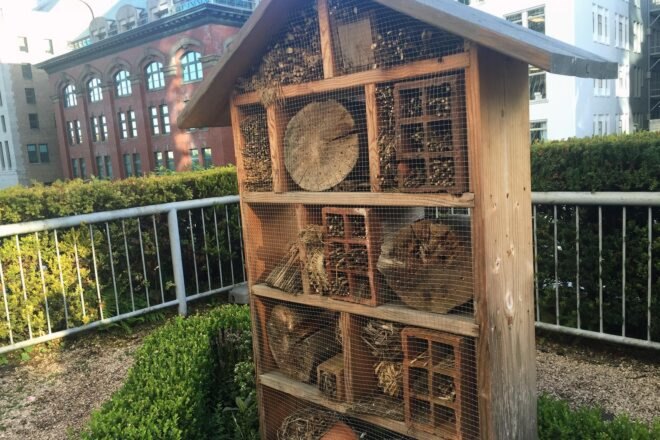 wooden bee hives on hotel deck