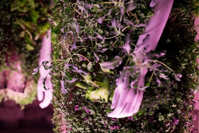 close-up of plant-covered vest