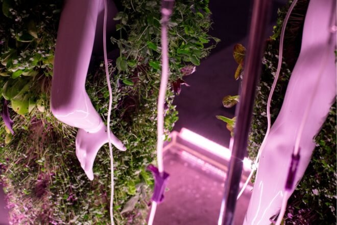 mannequin in a planted vest