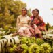 two women sit on top of a pile of bananas and banana leaves