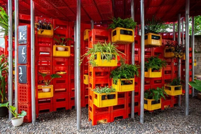 plants inside yellow plastic crates