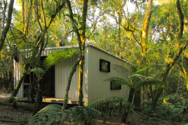 white cabin in the woods