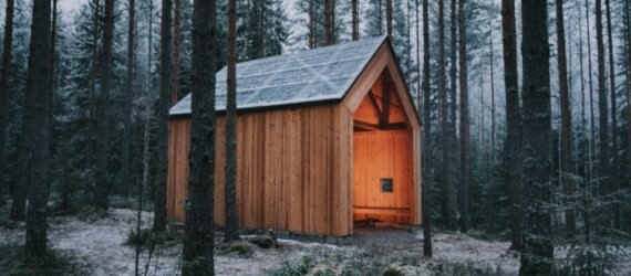 timber gabled shelter in a forest