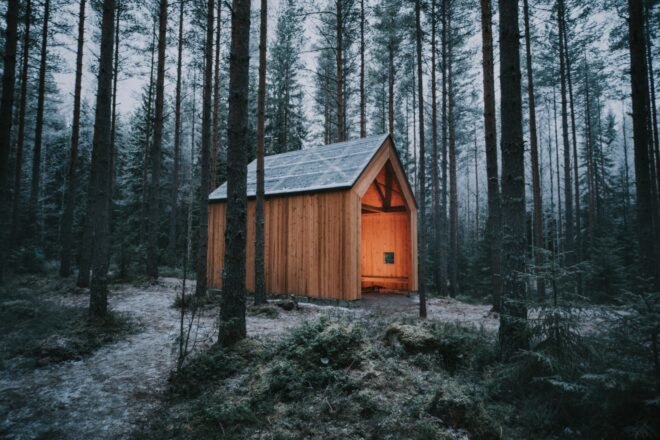 timber gabled shelter in a forest