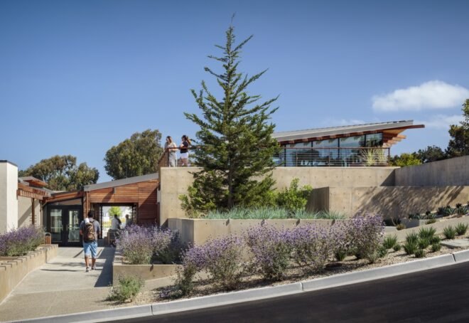 drought-tolerant plants in front of wood building