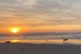 a sunset on the ocean with dogs running along the shore