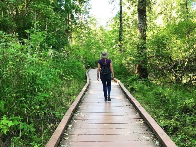 a person walking on a walkway through the woods, surrounded by greenery