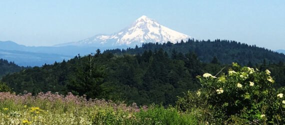 Eco Wellness in Portland