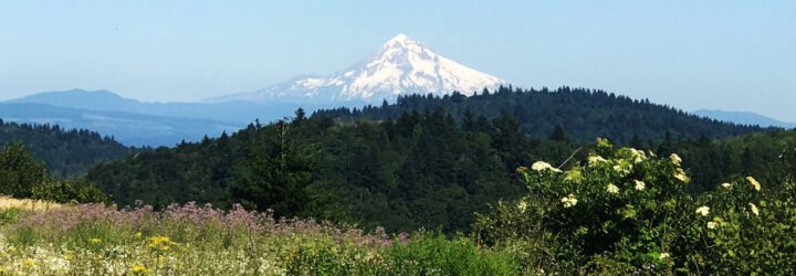 Eco Wellness in Portland