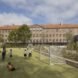 kids playing soccer in grassy field