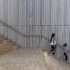 kids walking down wood steps