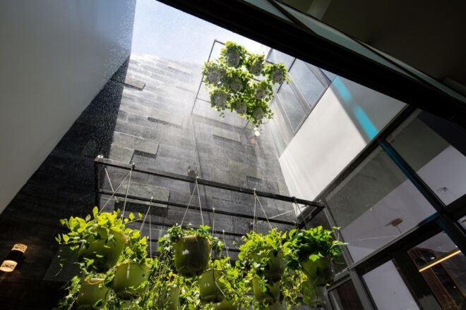 several hanging plants in an enclosed courtyard