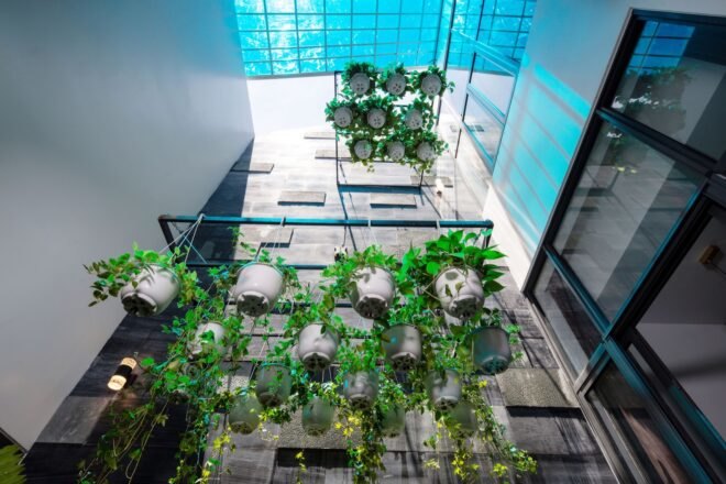 multiple levels of hanging plants