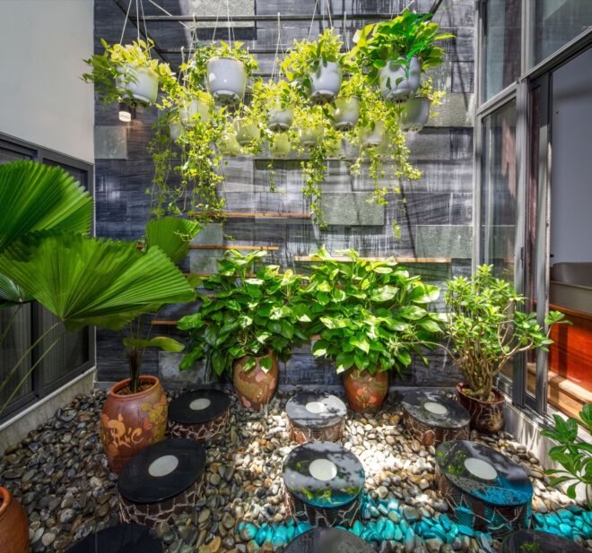 hanging plants and potted plants in a courtyard