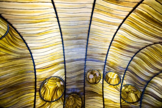 walls made of kelp