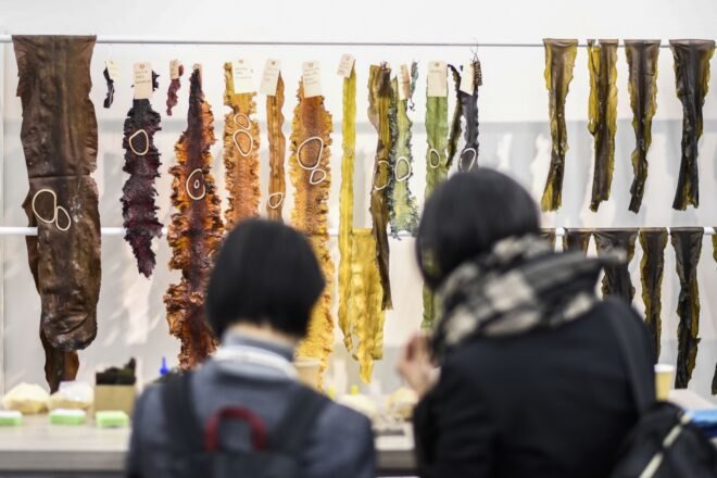 people looking at colorful hanging seaweed