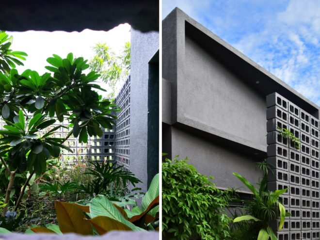 two images. to the left, a tall green plant with a concrete wall behind it. to the right, a large concrete structure with greenery poking out of it