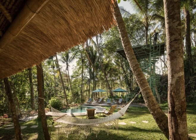 view of green area from thatched roof