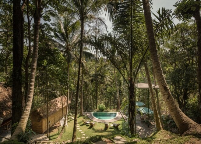 image of outdoor space with lush greenery and a swimming pool