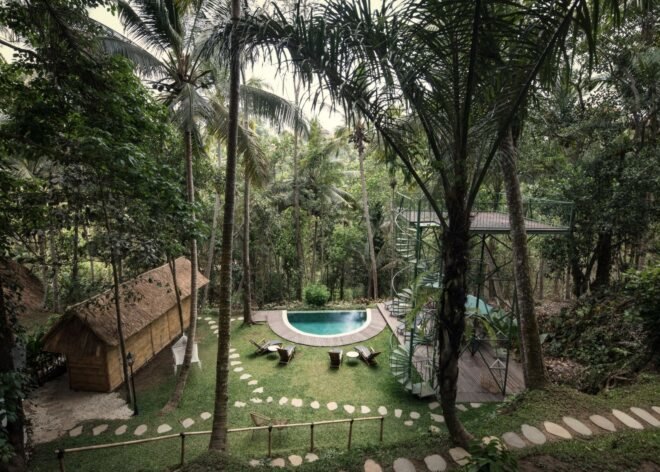 a lush area with thatched roof buildings and a pool