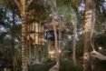 a series of treehouses in a tropical setting