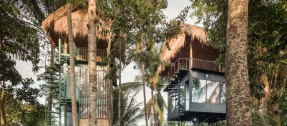 two treehouses with thatched roofs