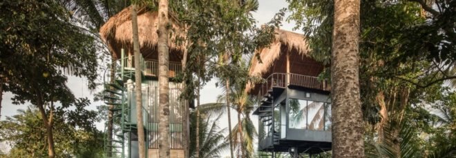 two treehouses with thatched roofs
